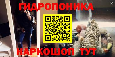 гидра Бийск
