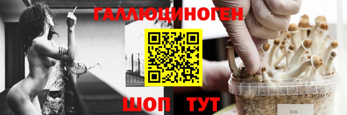 Кириши  Псилоцибиновые грибы прущие грибы  Вход с VPN  Галлюциногенные грибы ЛСД 